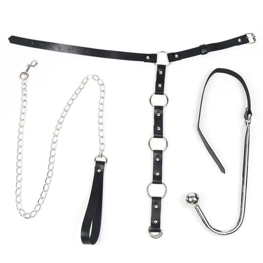 Leash with Collar and Anal 5853 Kinky EverydayUse Hook 0531